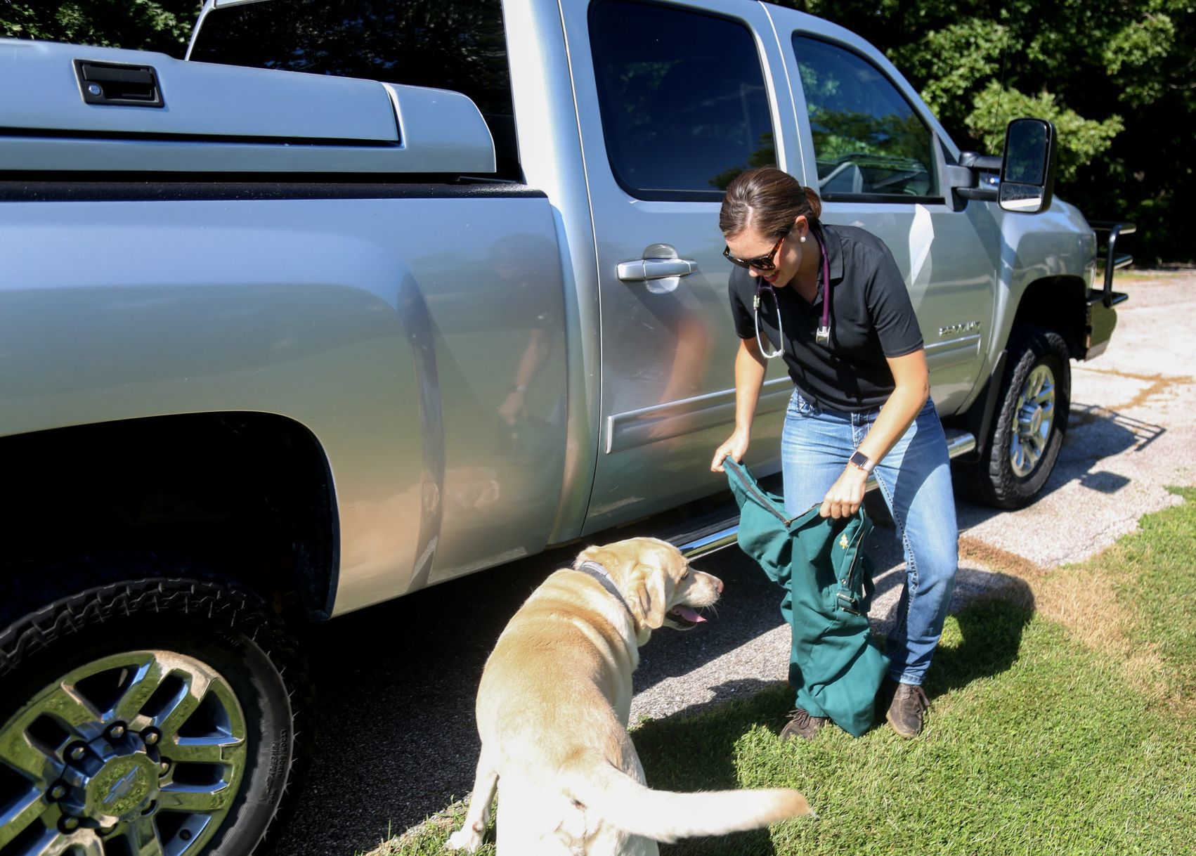Large animal veterinarians